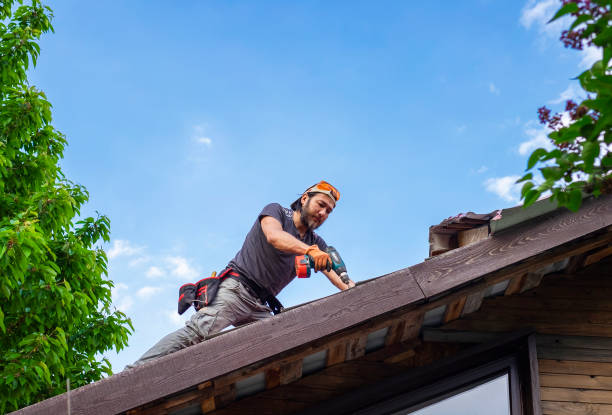 Best Roof Restoration  in Bluefield, VA